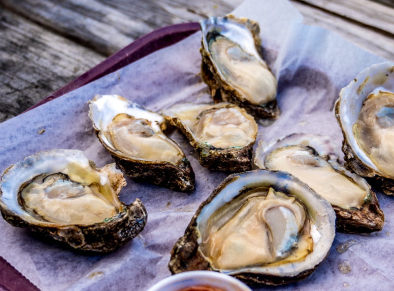 Apalachicola Bay Oysters