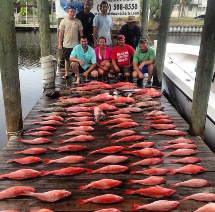 Group with all their catches from the fishing charter