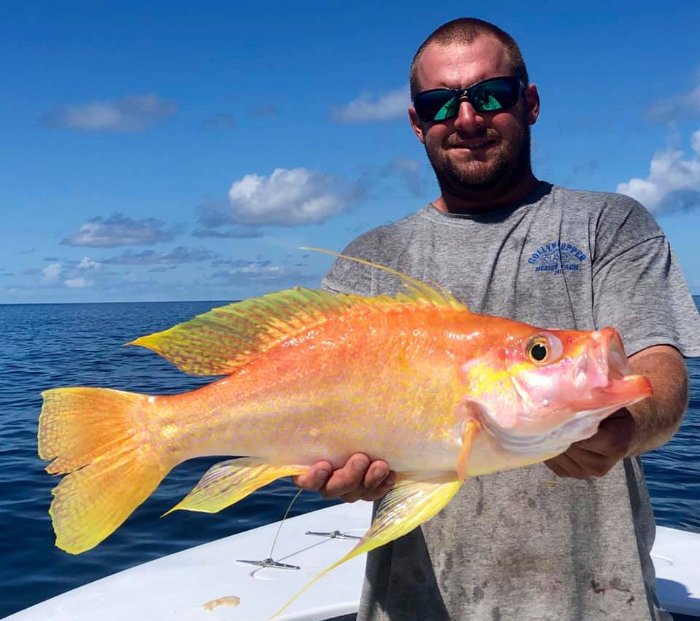 Man holding a bright neon colored fish caught offshore